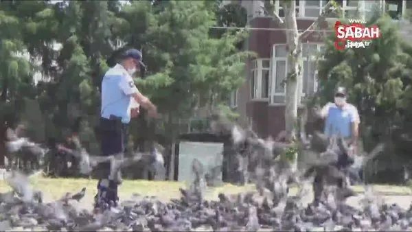“Martılar” güvercinleri besledi | Video