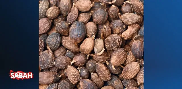 düşük nabız basıncının nedenleri ikinci derecenin ilk aşamasının hipertansiyonu