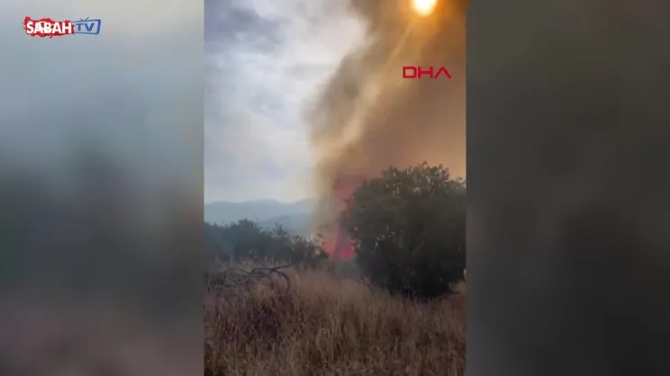 Bozdoğan'da orman yangını | Video