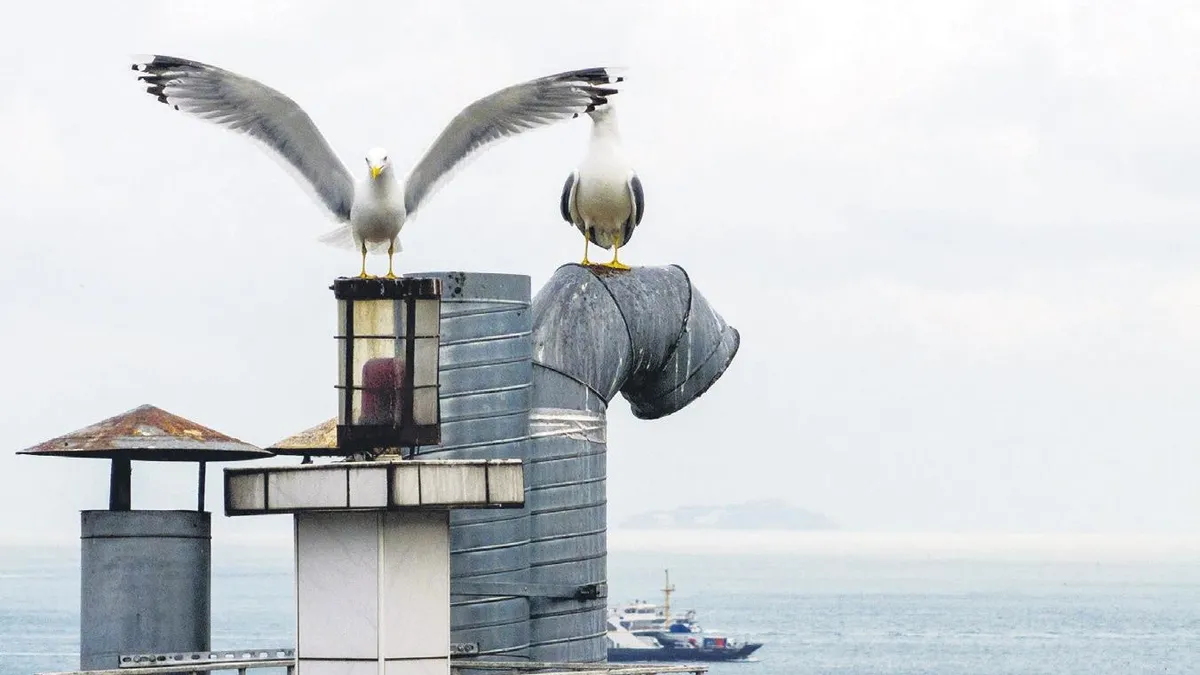 Apartmanın çatısında deniz feneri