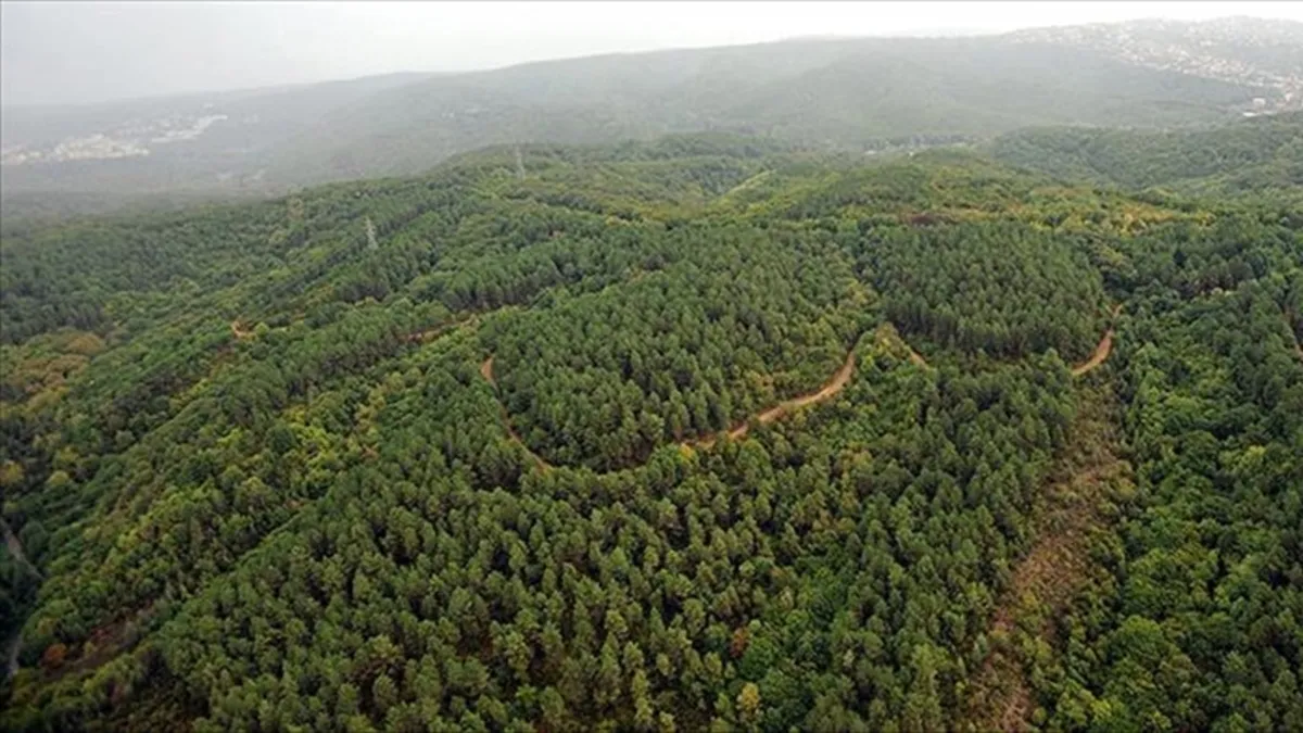 Yeni Milli Parklar Kanunu yayımlandı: İhlal edenlere para ve hapis cezası!