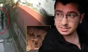 SON DAKİKA: Vicdansız doktor davasında karar çıktı! Sahiplendiği köpekleri öldürüp poşetlerle taşımıştı... #ankara