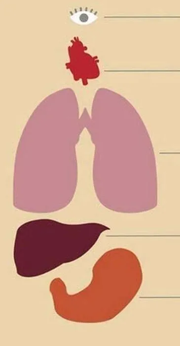 Yanlış bilinen doğrular: Bu hataya düşmeyin!