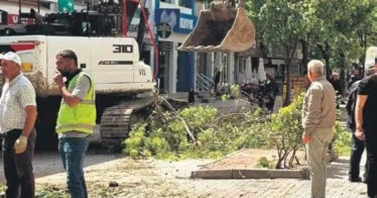 CHP’li belediyeden ağaç katliamı