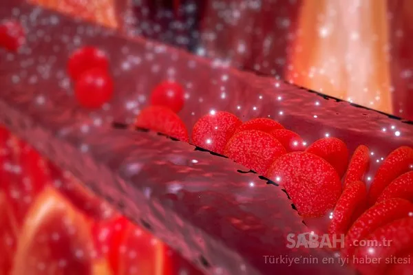 Vücuttaki tüm iltihabı kurutuyor
