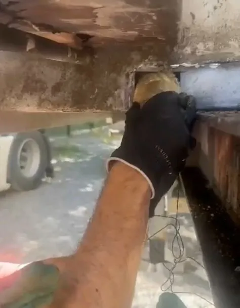 Zehir Taciri Gözaltında