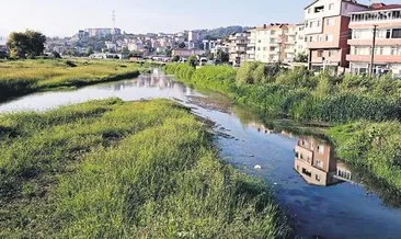 Alaplı Çayı çayıra döndü #zonguldak