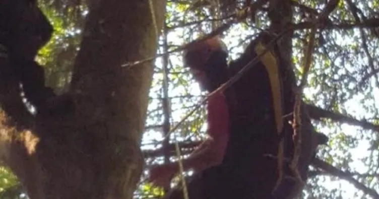 Uzungöl’de yamaç paraşütü yaparken ağaca takıldı!