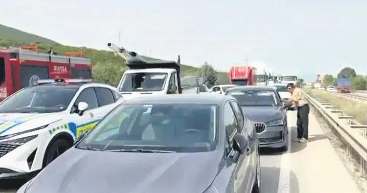 Bir arının yaptığına bak