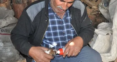 Sokakta bulduğu köpekleri biberonla besliyor