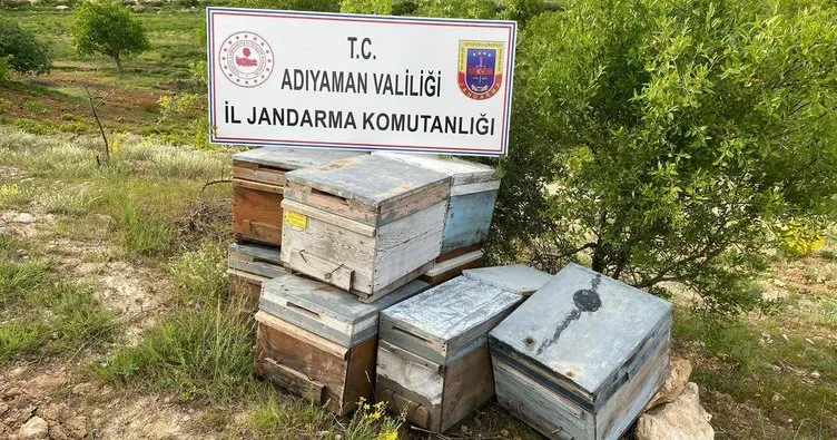 Adıyaman’da arı kovanları çalındı