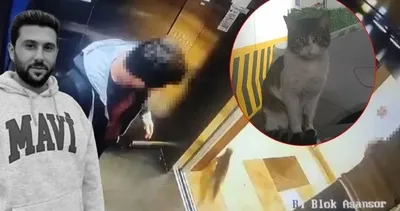 Kedi Eros davasında yeni gelişme: İbrahim Keloğlan’ın cezasına itiraz edildi!