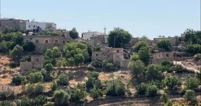 Gercüş’te sumak hasadı başladı