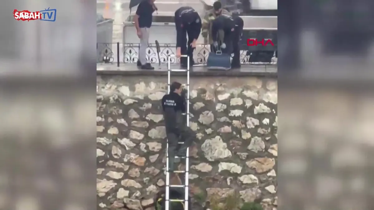 Yağmurda dereye sürüklenen yavru kediyi kurtarmak için verilen büyük mücadele kamerada