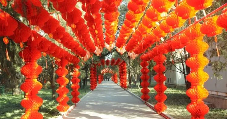 Çin’de ’Köpek Yılı’ coşkusu!