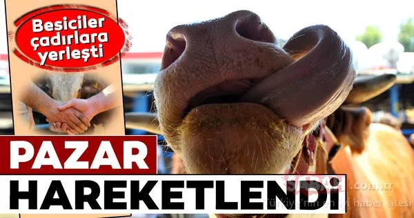 Kurbanlık pazarı hareketlendi
