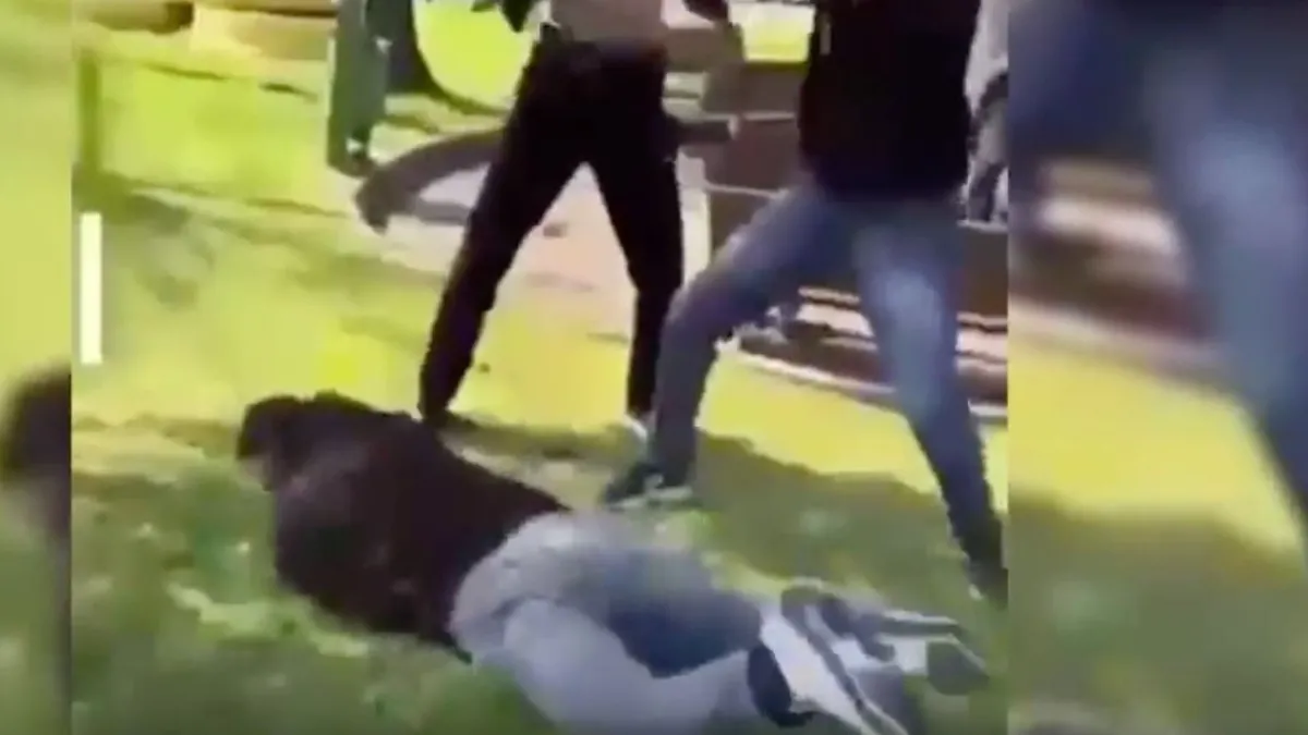 Akran zorbalığına 2 tutuklama