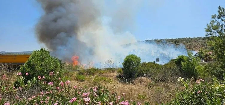 Orman yangınında kahreden detay: 160 hektarlık alan bu yüzden yanmış!