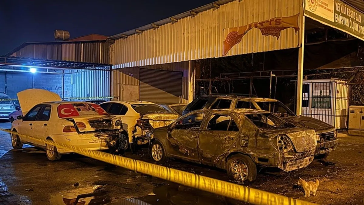 Mersin’de park halindeki 5 araç kundaklandı: O anlar kamerada!