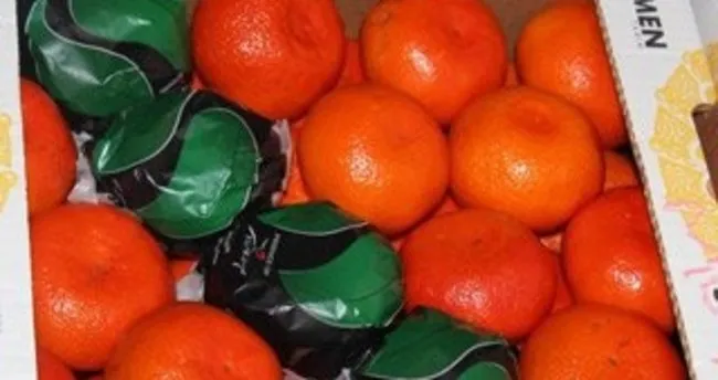 Ukrayna, 29 ton mandalinayı Türkiye’ye geri gönderdi