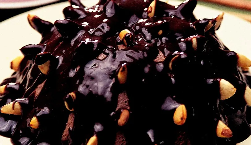 Çikolatalı Soğuk Pasta