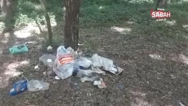 Piknikçiler ormanları çöplüğe çeviriyor | Video