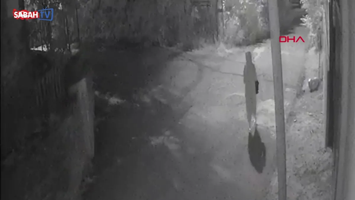 Çatalca’da maskeli kadın marketi kundaklayıp kaçtı: O anlar kamerada videosunu izle Çatalca’da maskeli kadın marketi kundaklayıp kaçtı: O anlar kamerada videosunu izle