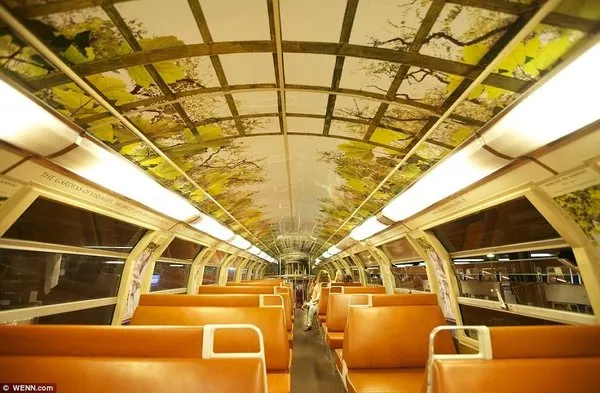 Saray gibi tren