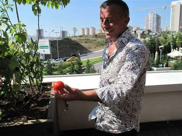 Ali Ağaoğlu