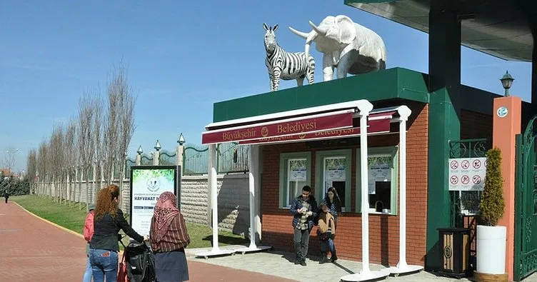 Eskişehir Hayvanat Bahçesi’ne 1 yılda 650 bin ziyaretçi