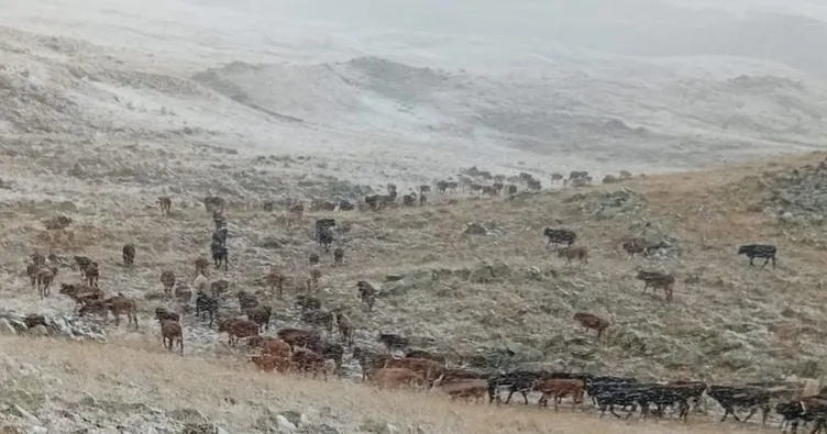Erzurum’un yüksek kesimlere kar yağdı