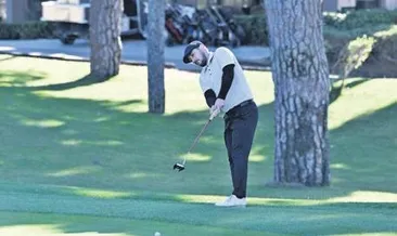 Golfe Taurus damgası