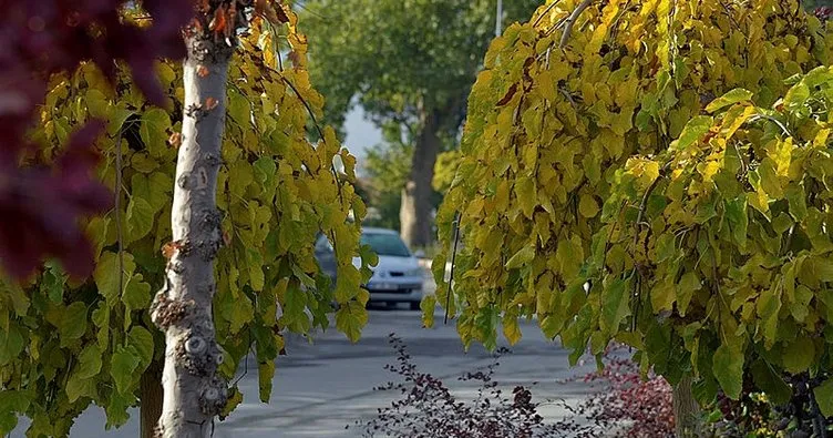 Kırşehir’de sonbahar manzaraları