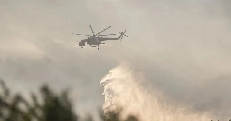 Manisa’da orman yangını!