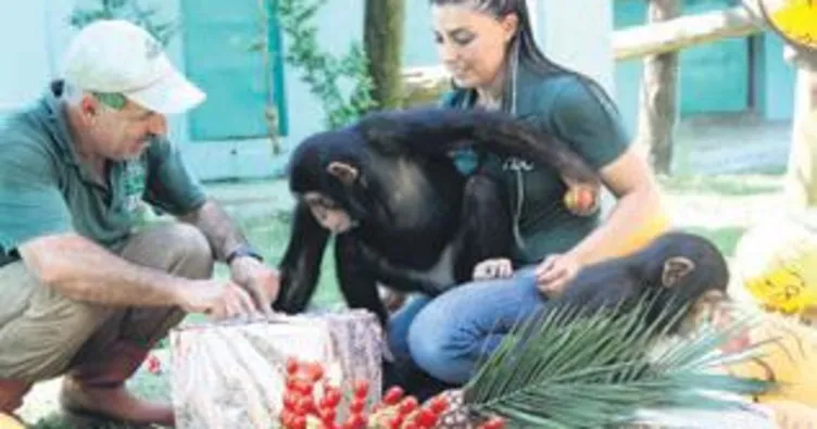 Jane ve Gölge’ye doğumgünü sürprizi