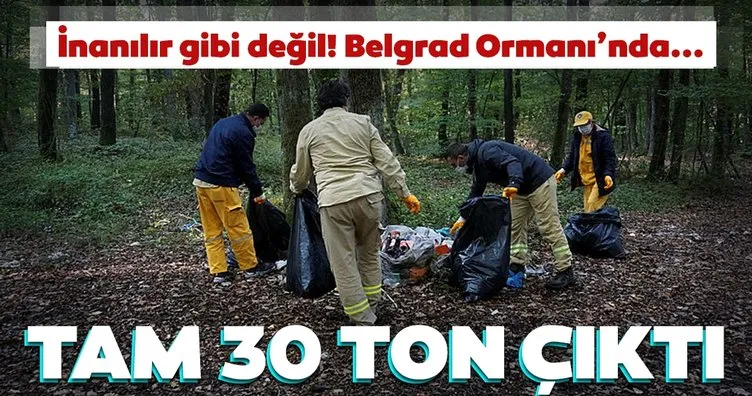 İnanılır gibi değil! Belgrad Ormanı’ndan tam 30 ton toplandı