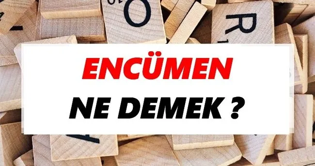 Encümen Ne Demek? TDK’ya Göre Encümen Sözlük Anlamı Nedir?