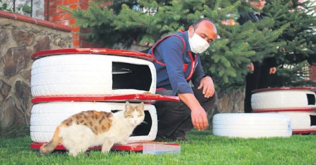 eski araba lastiklerinden mama kabi