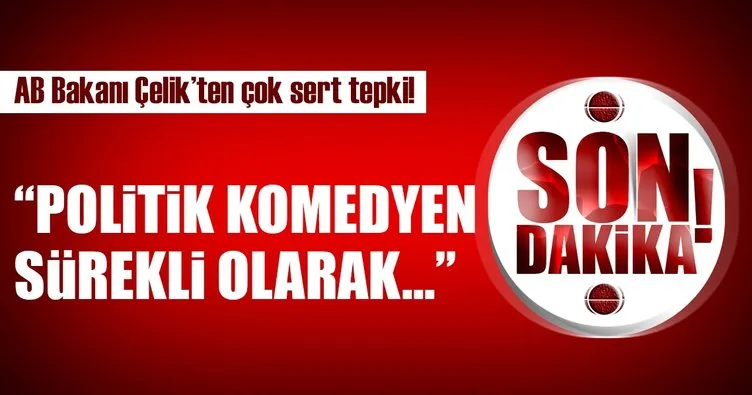 AB Bakanı Çelik: 'Mahalle dayanışması' AB'nin itibarını azaltır
