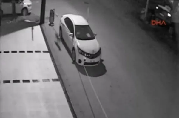 Bir köpek ve otomobil vakası daha