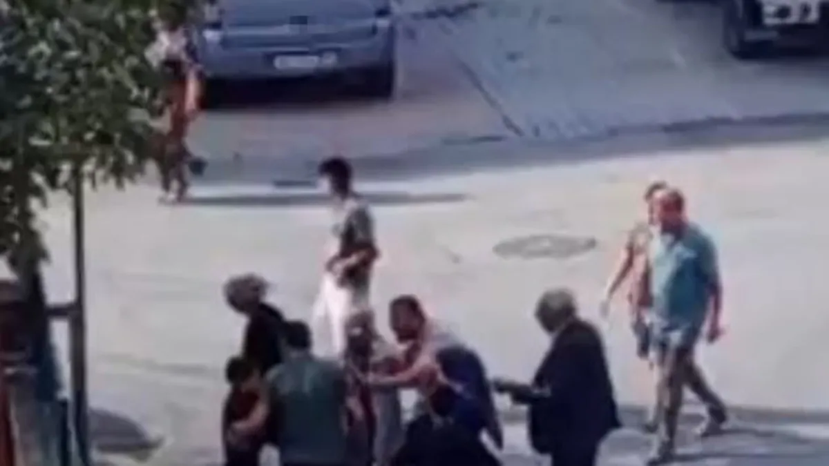 Beylikdüzü’nde sokak köpeği çocuğu ısırdı: Ortalık karıştı! Elinde bıçakla… Beylikdüzü’nde sokak köpeği çocuğu ısırdı: Ortalık karıştı! Elinde bıçakla…