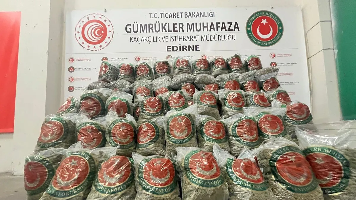Kapıkule’de rekor uyuşturucu operasyonu: 382 kilo esrar ele geçirildi