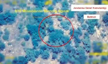 Kırmızı listeye bir çizik daha