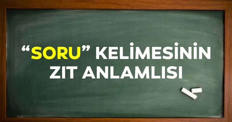 çinli amcık am deligi