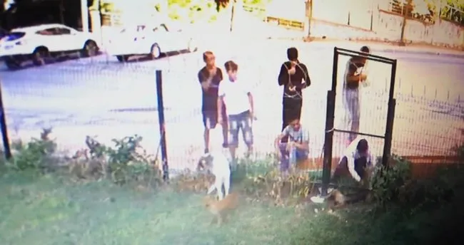 Kopegi Calip Geri Getirdiler Son Dakika Haberler