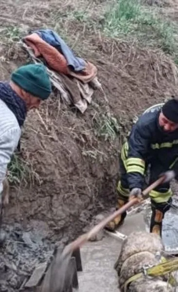 Erzincan’da koyun sulama kanalına düştü: İtfaiye kurtardı