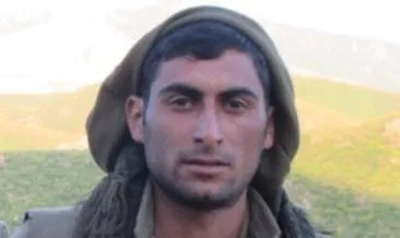 Terör örgütü PKK’nın Van Başkale Sorumlusu Vedat Demir örgütten kaçtı