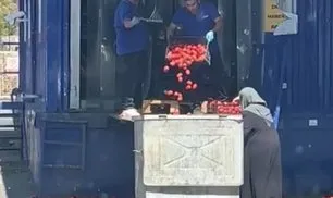 Yer: İstanbul! Zincir markette tepki çeken görüntü: Kasalarca domates çöpe döküldü