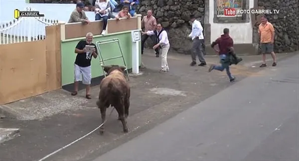 Boğa'nın gazabına uğradı