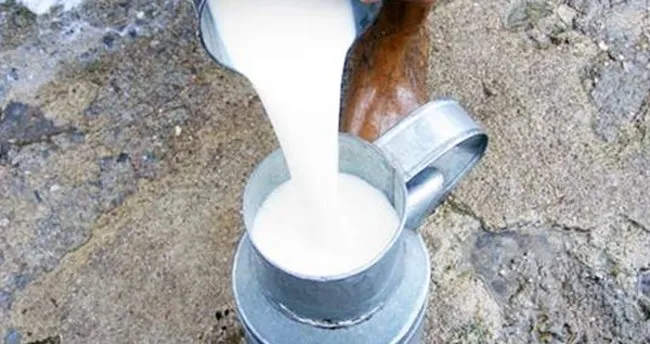 Bakan Çelik: Çiğ süt satışının yasaklanması söz konusu değil